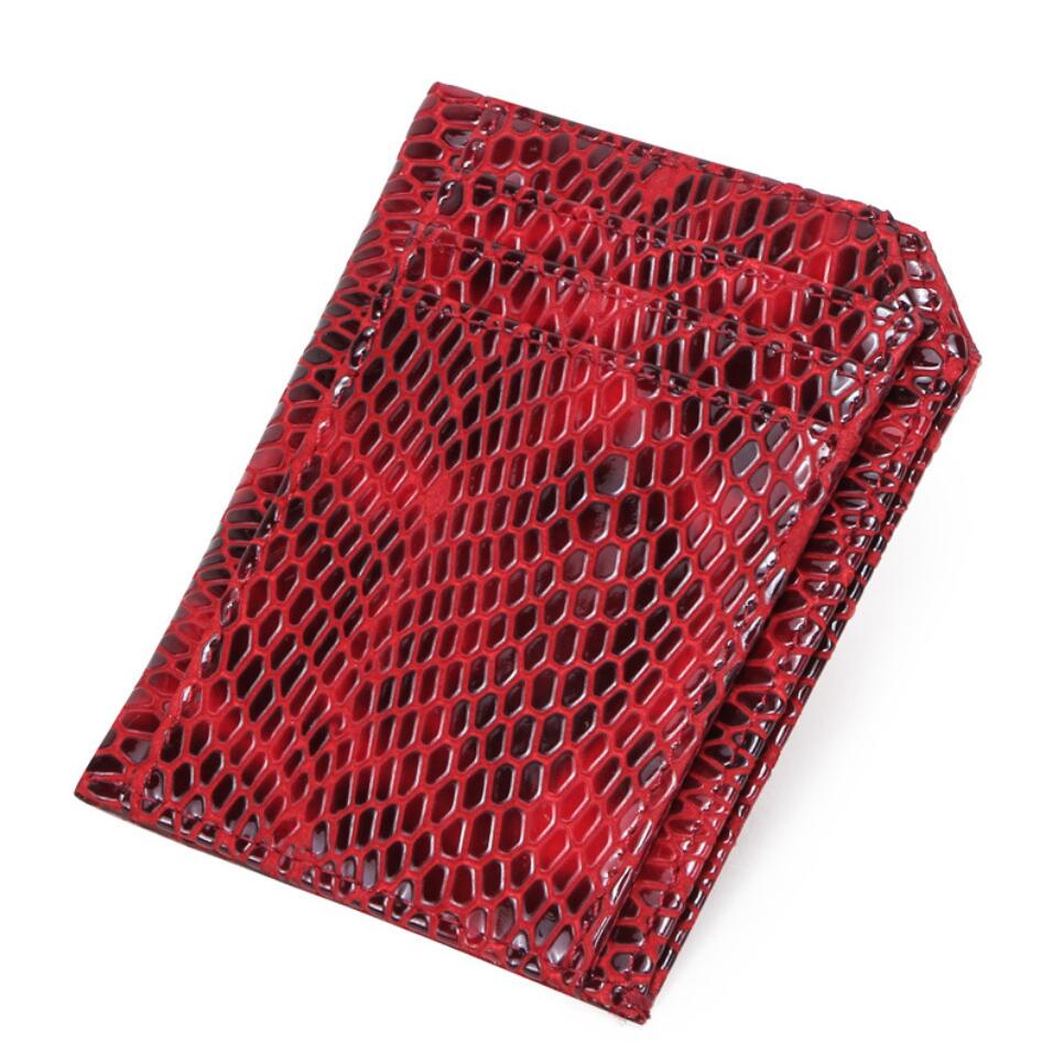 Women's Genuine Leather Wallet Fashionable Snake Pattern RFID Card Holder Theft Brush